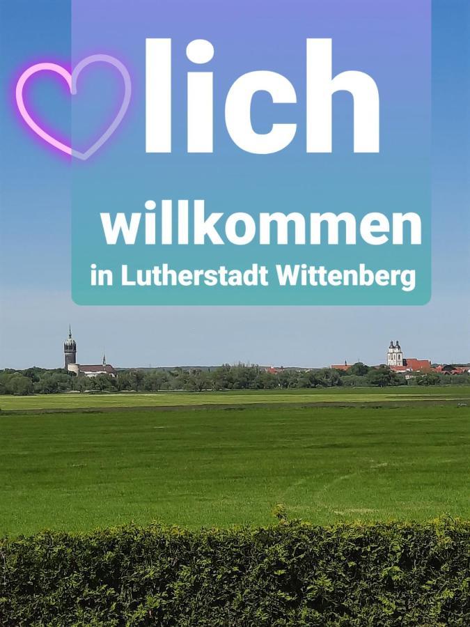 Ferienwohnung Mit Elbwiesenblick Wittenberg Eksteriør bilde